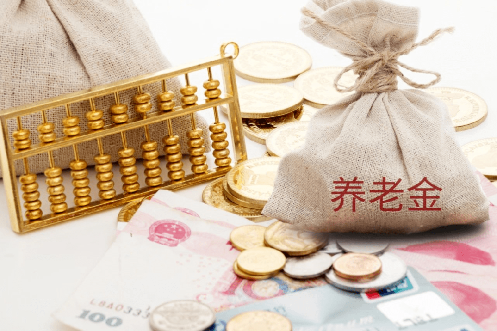 城乡居民养老保险虹膜认证系统